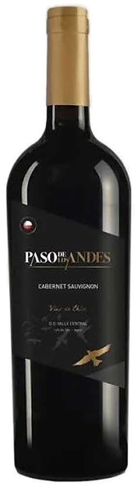 Paso De Los Andes