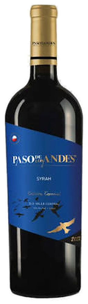 Paso De Los Andes
