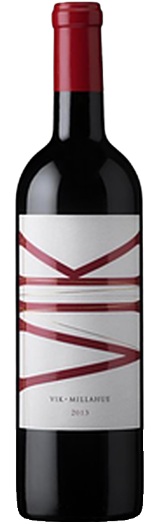 Vik Vik Tinto 2021 100 Pontos