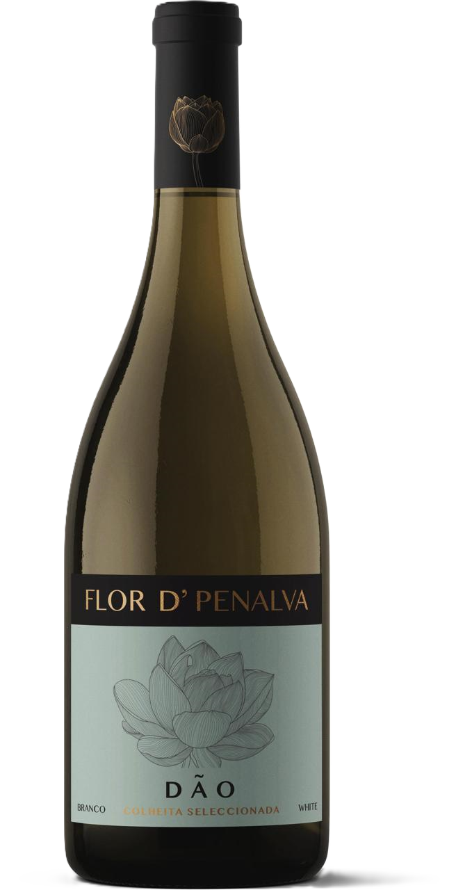Flor d’Penalva Colheita Selecionada Branco Dão