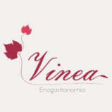 Logo Marca Vinea